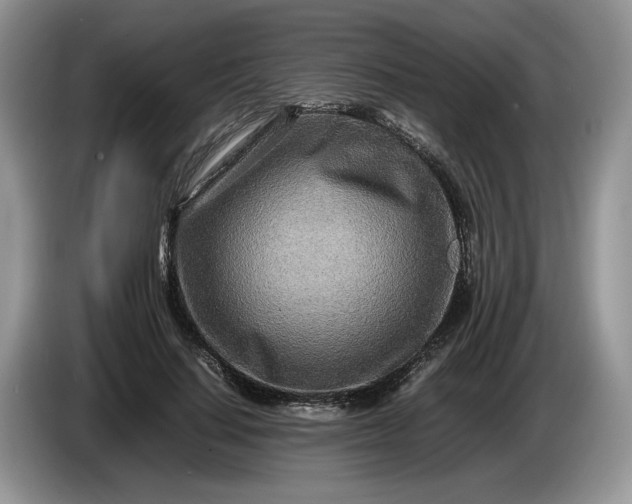 X0000086280644200704122048