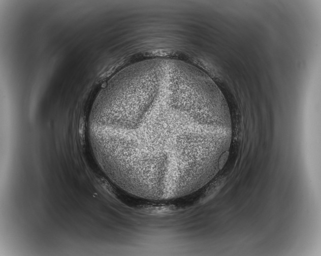 X0000086280646200704122048