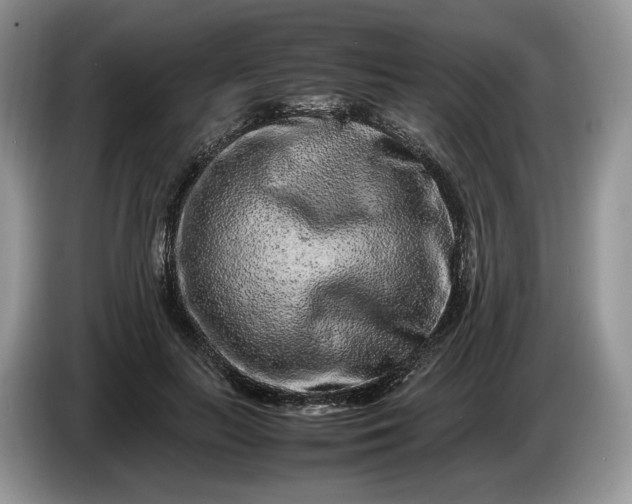 X0000086280647200704122048