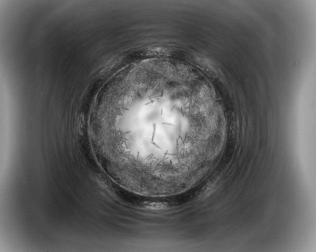 X0000086280649200704122048