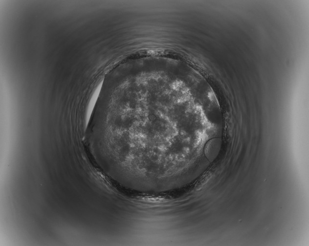 X0000086280650200704122048