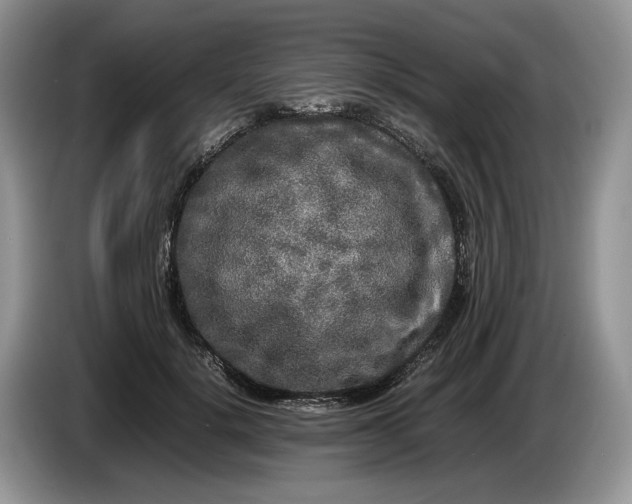 X0000086280652200704122048