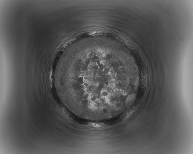 X0000086280654200704122048