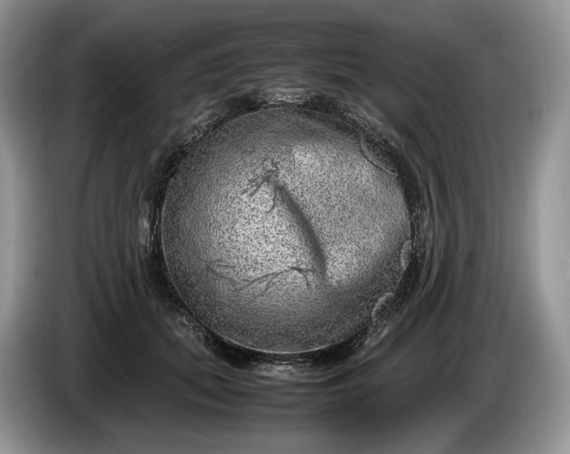 X0000086280655200704122048