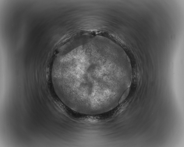 X0000086280656200704122048