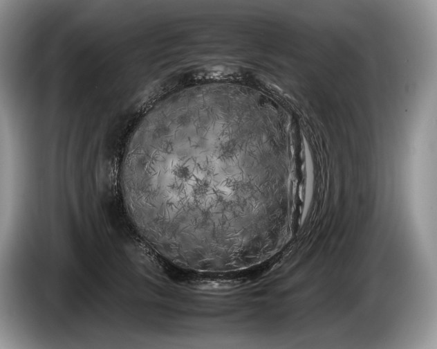 X0000086280657200704122048