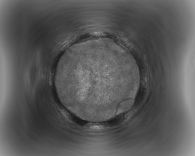 X0000086280658200704122048