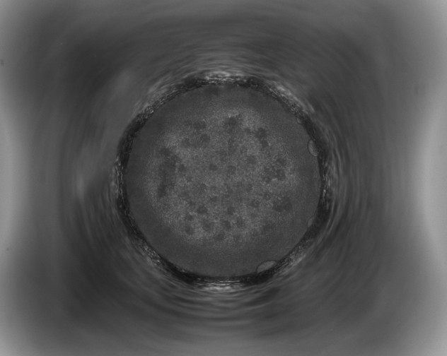 X0000086280659200704122048