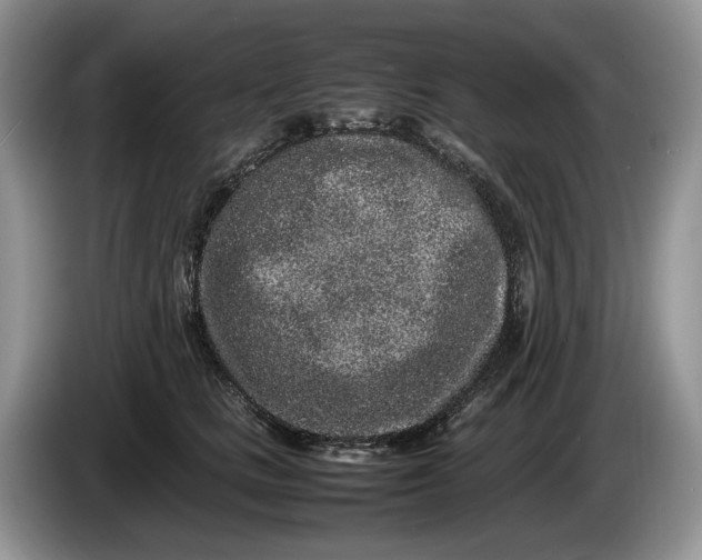 X0000086280661200704122048