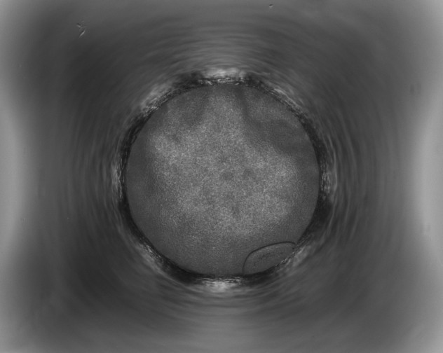 X0000086280662200704122048