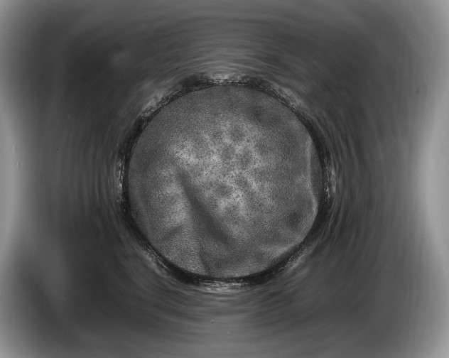 X0000086280664200704122048