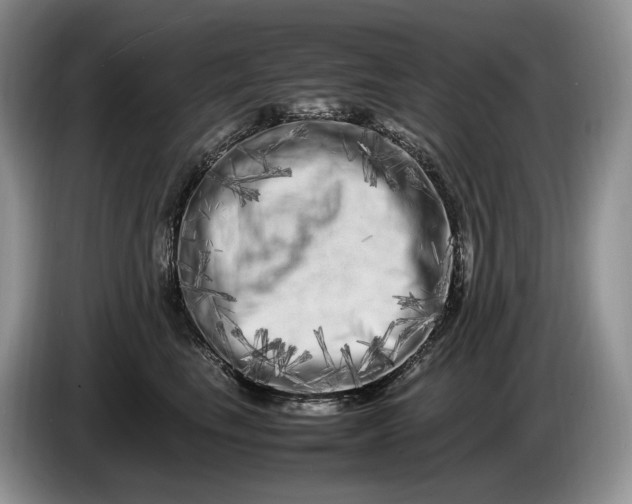 X0000086280665200704122048