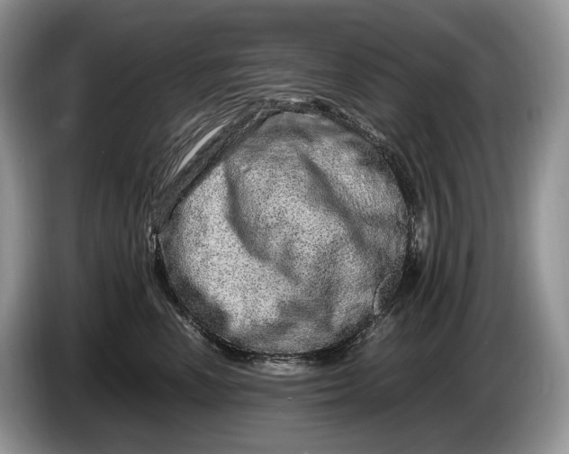 X0000086280666200704122048