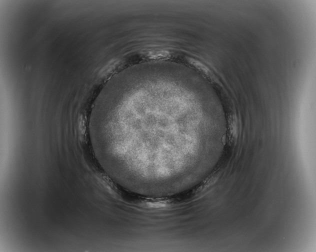 X0000086280667200704122048