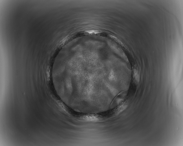 X0000086280668200704122048