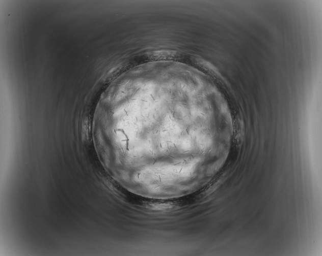 X0000086280669200704122048