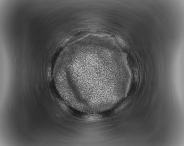 X0000086280670200704122048