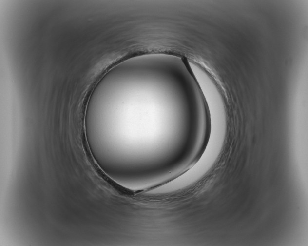 X0000086280673200704122048