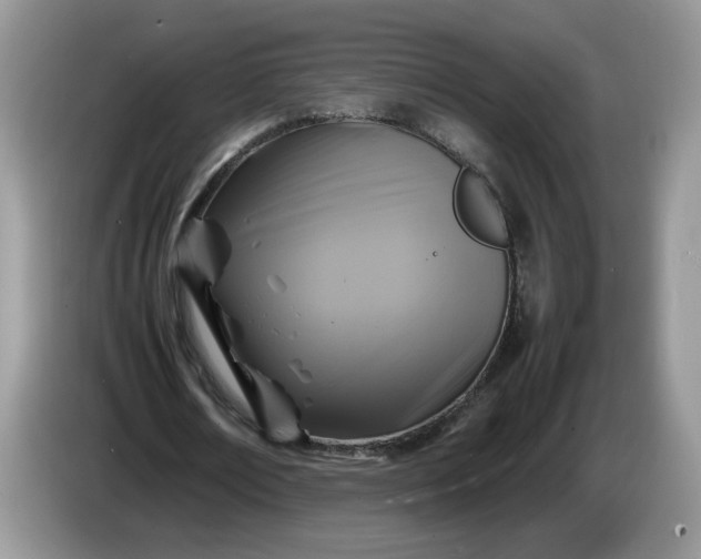 X0000086280674200704122048