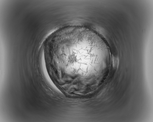 X0000086280675200704122048