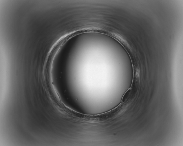 X0000086280676200704122048