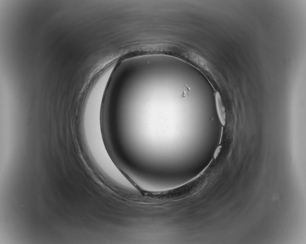 X0000086280677200704122048