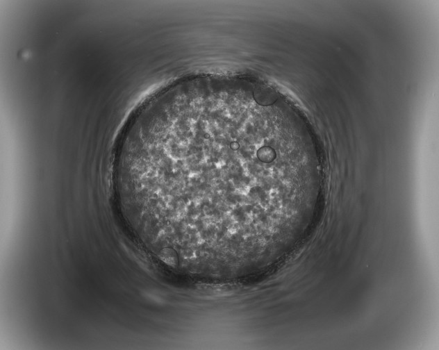 X0000086280679200704122048