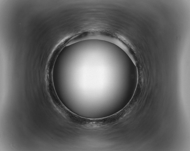 X0000086280680200704122048