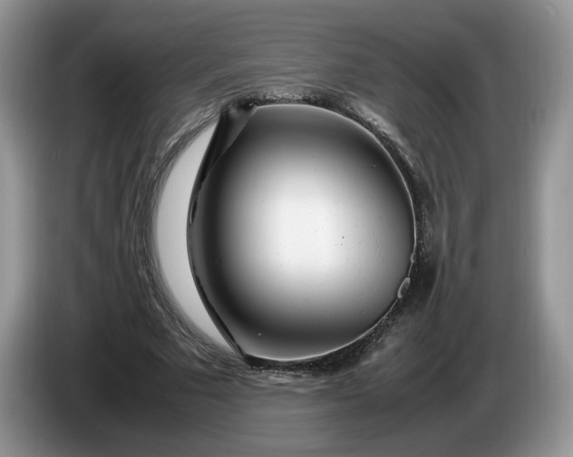 X0000086280681200704122048