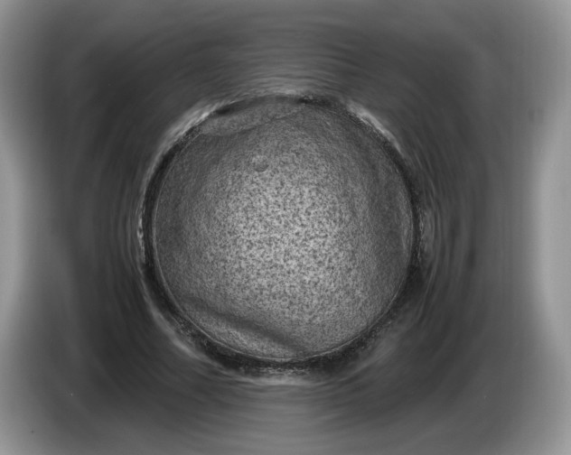 X0000086280682200704122048