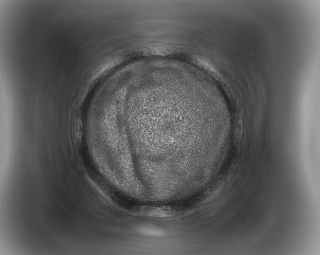 X0000086280683200704122047