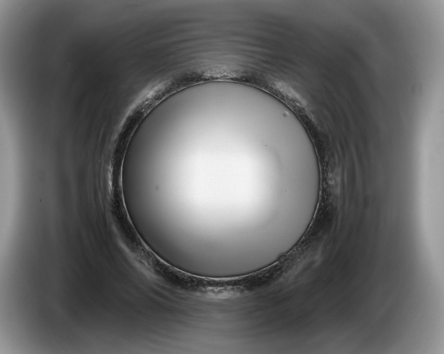 X0000086280686200704122047