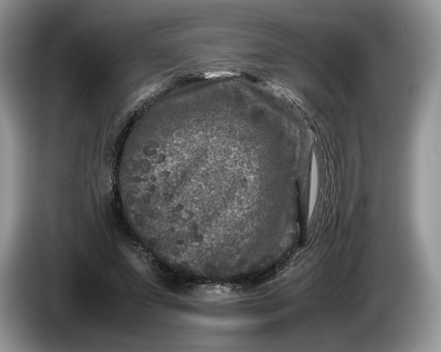 X0000086280687200704122047