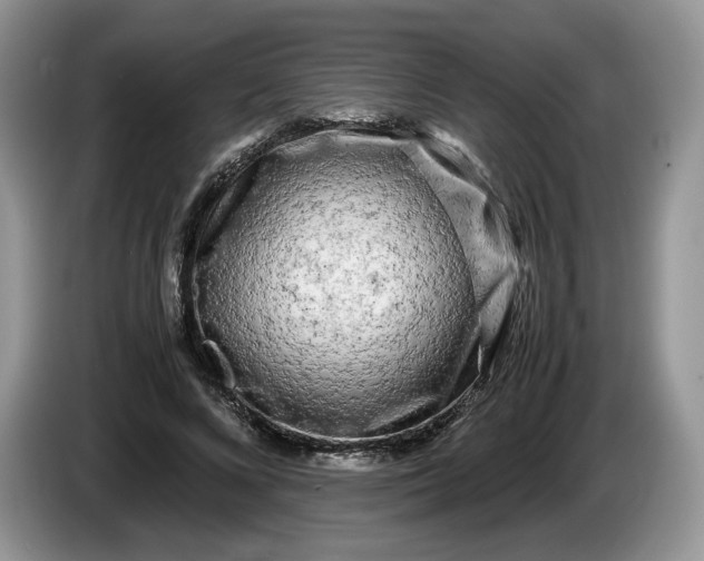 X0000086280688200704122047