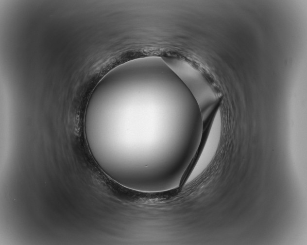 X0000086280689200704122047