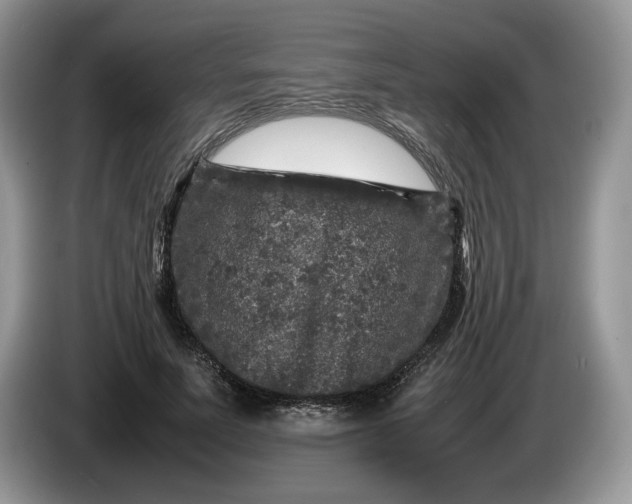 X0000086280691200704122047