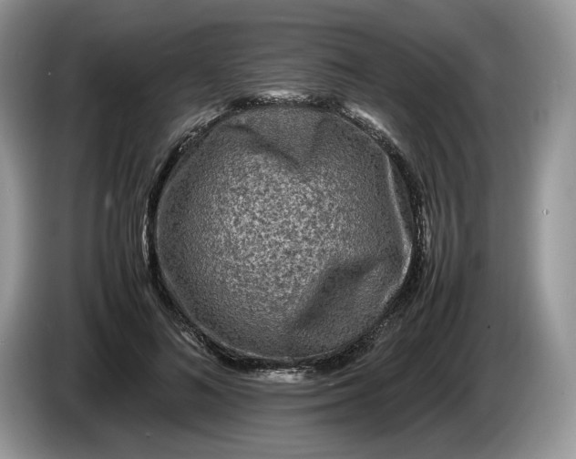 X0000086280692200704122047