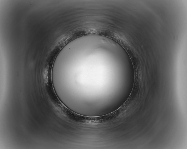 X0000086280694200704122047