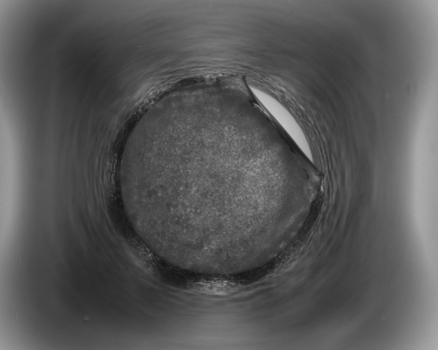 X0000086280695200704122047