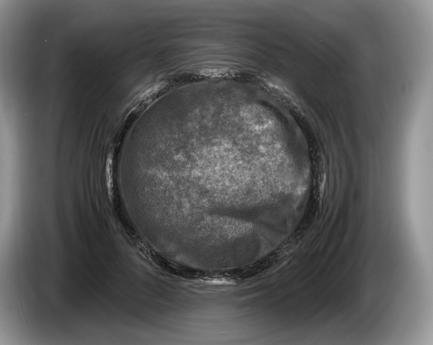 X0000086280696200704122047