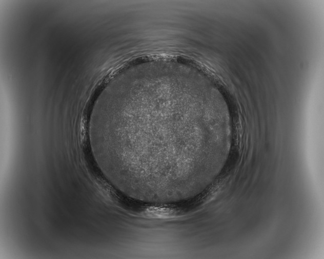 X0000086280699200704122047