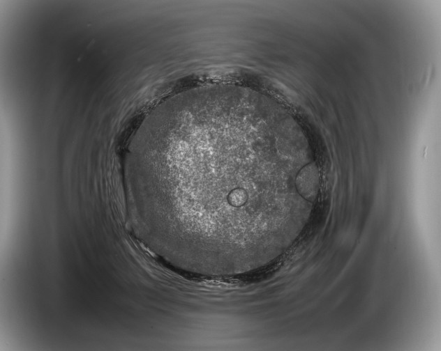 X0000086280703200704122047