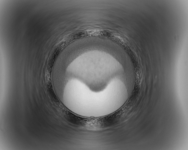 X0000086280705200704122047