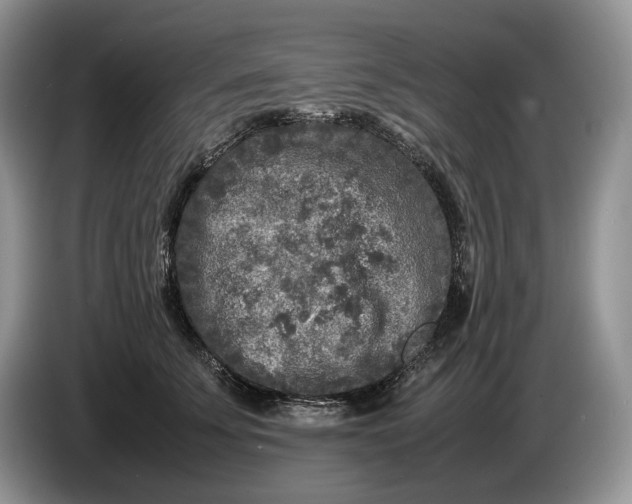 X0000086280707200704122047