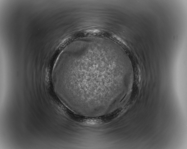 X0000086280708200704122047