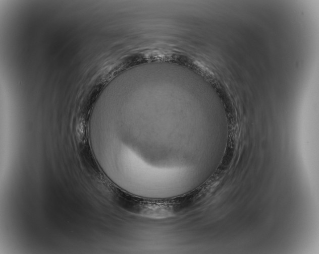 X0000086280709200704122047