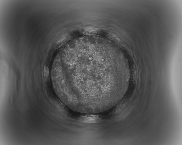 X0000086280711200704122047