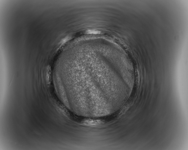 X0000086280712200704122047