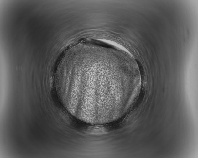 X0000086280715200704122047