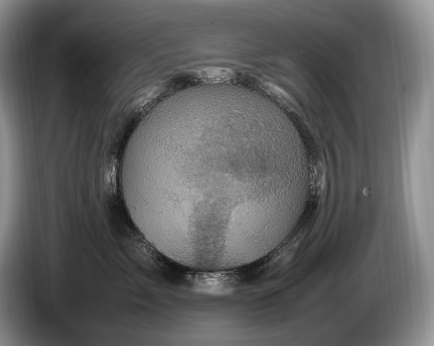 X0000086280717200704122047